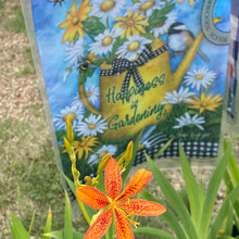 Load image into Gallery viewer, Belamcanda chinensis - Freckle Face