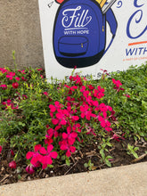 Load image into Gallery viewer, Dianthus deltoides - MAIDEN PINK  'Zing Rose'