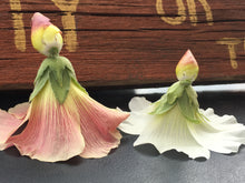 Load image into Gallery viewer, Alcea rosea - HOLLYHOCK HALO SERIES WHITE